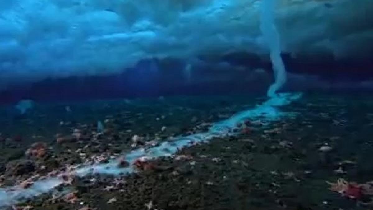 fenomenul care ameninta viata de pe fundul marii filmat in premiera