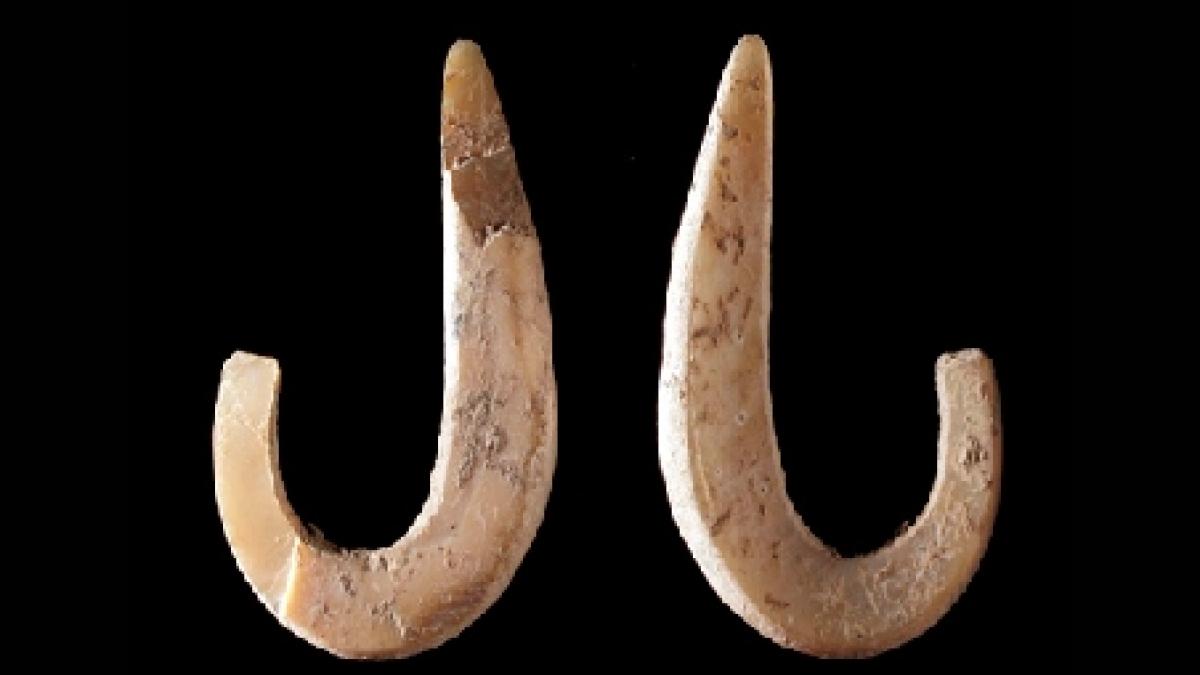 oamenii pescuiau si in urma cu cel putin 16 000 ani a fost descoperit cel mai vechi carlig de