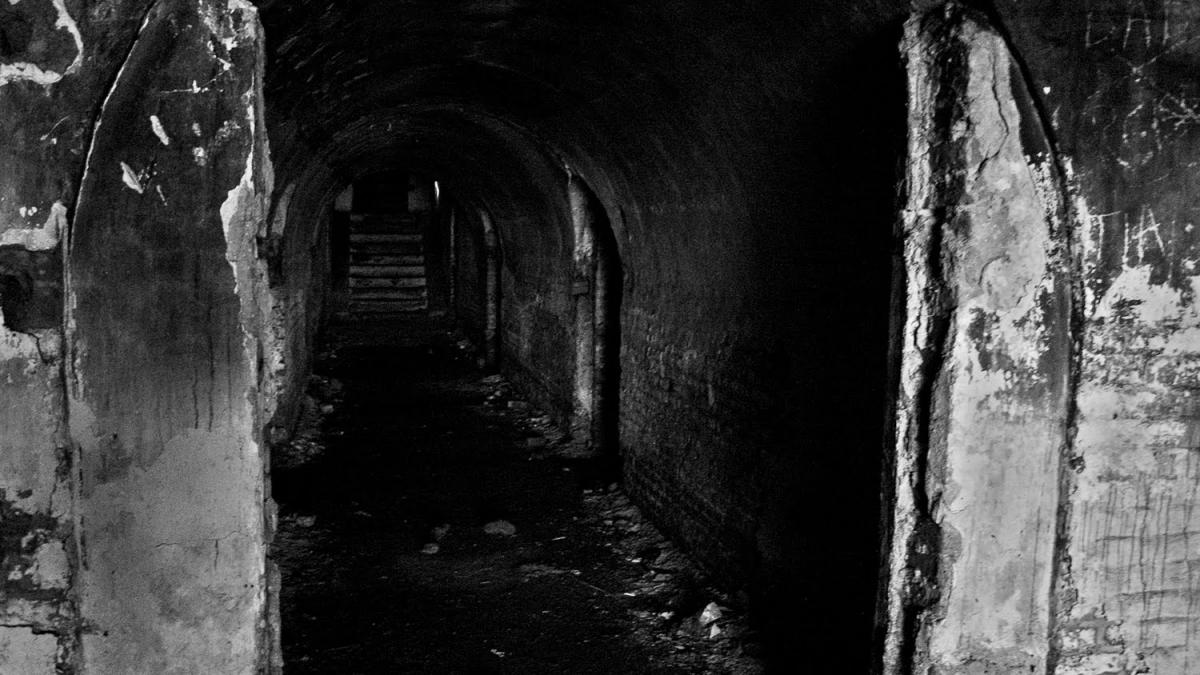 prezentul cel mai mare dusman al trecutului mormane de gunoaie si haite de caini in vechile forturi