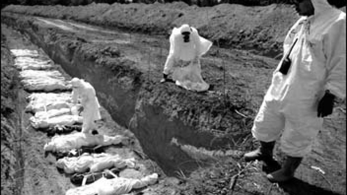 cineva ne vrea tot mai putini a fost creat virusul care poate distruge omenirea