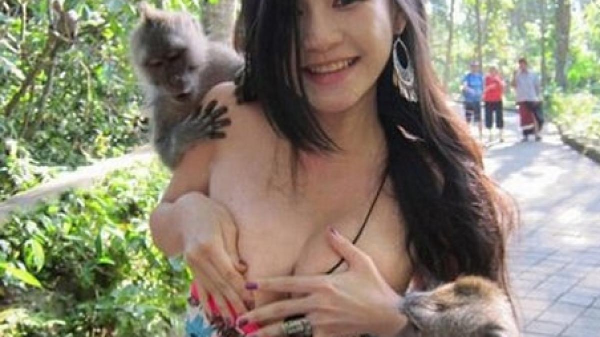 doi macaci nazdravani au dezbracat o turista pentru o boaba de porumb