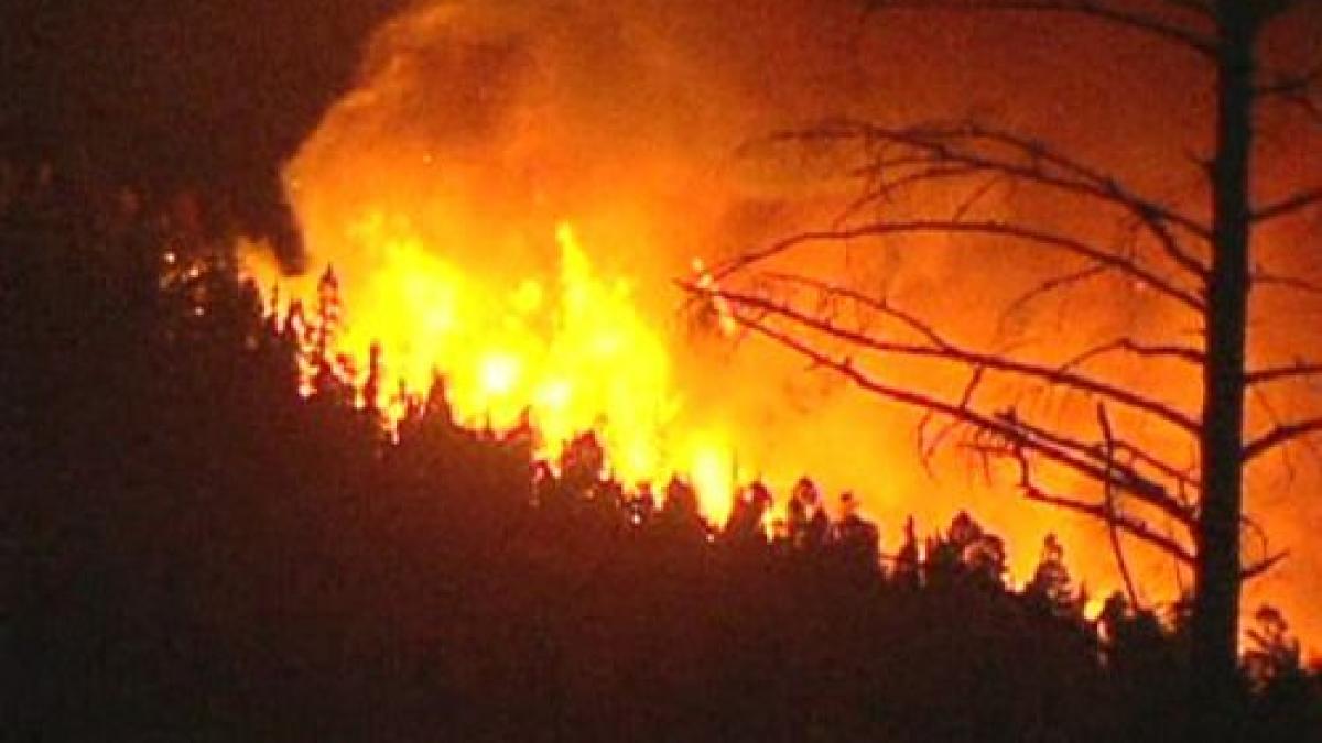 sute de hectare de vegetatie au disparut inghitite de flacari un foc lasat nesupravegheat a