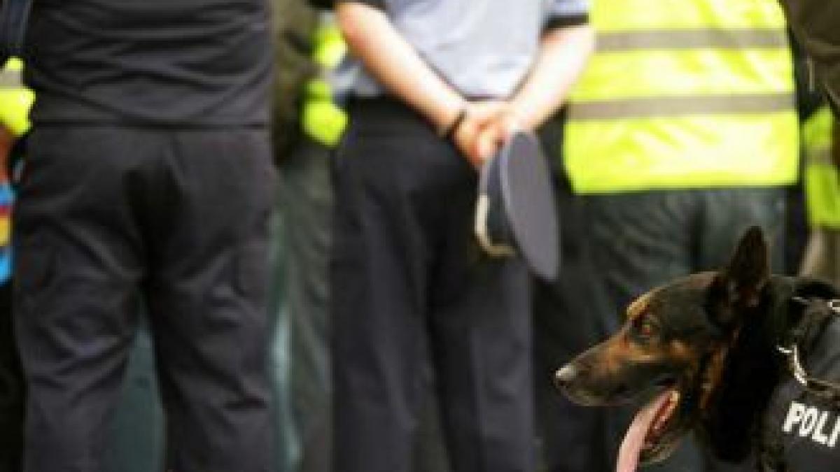 se terminasera proviziile la shopping in masina politiei ce fac oamenii legii in timpul programului