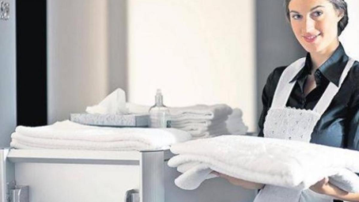 somerii romani se recalifica vezi care sunt cele mai de succes domenii