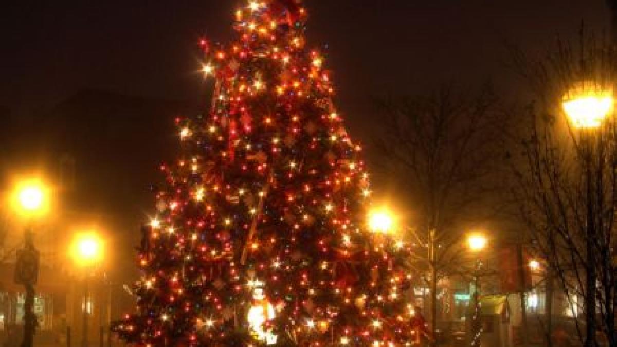 cel mai mare brad de craciun din romania la baia mare vezi ce inaltime are