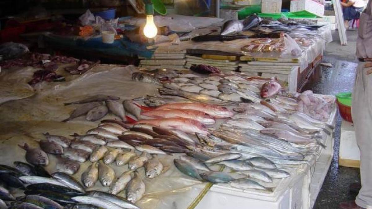 razie la obor vanzatorii de peste au ramas fara marfa pentru ca au mintit in acte