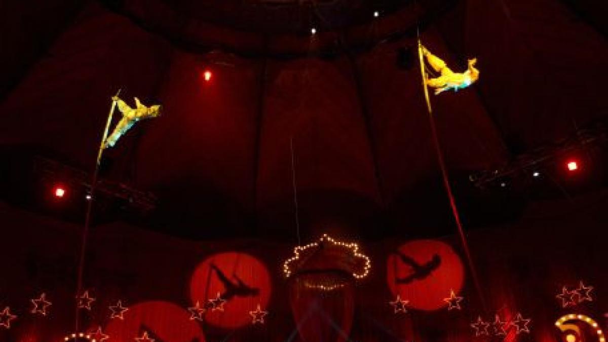 circul globus a implinit o jumatate de veac de existenta