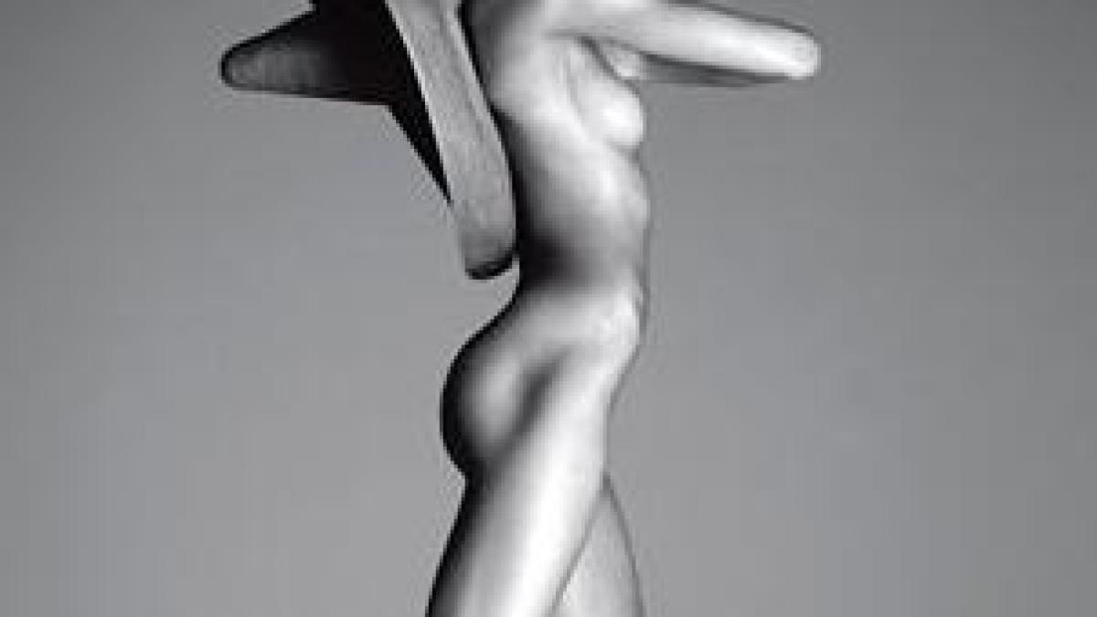 nici nu conteaza fata asa arata noul trup din moda toate modelele innebunite dupa el