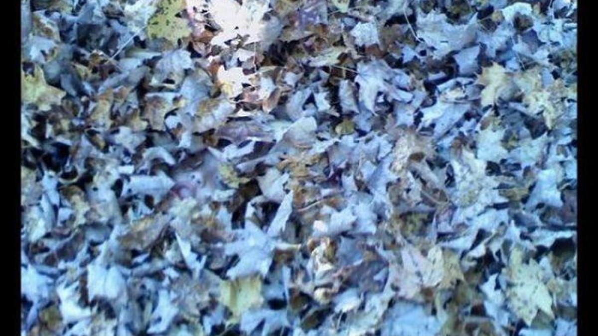 numai 1 din cei care se uita o pot vedea imaginea care te va diferentia de restul lumii