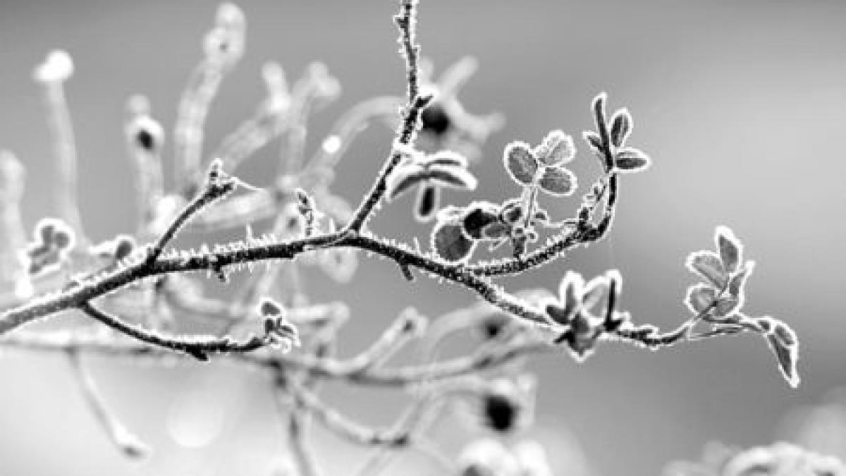 s a lasat destul asteptata iarna isi intra in drepturi vezi prognoza meteo pentru restul saptamanii