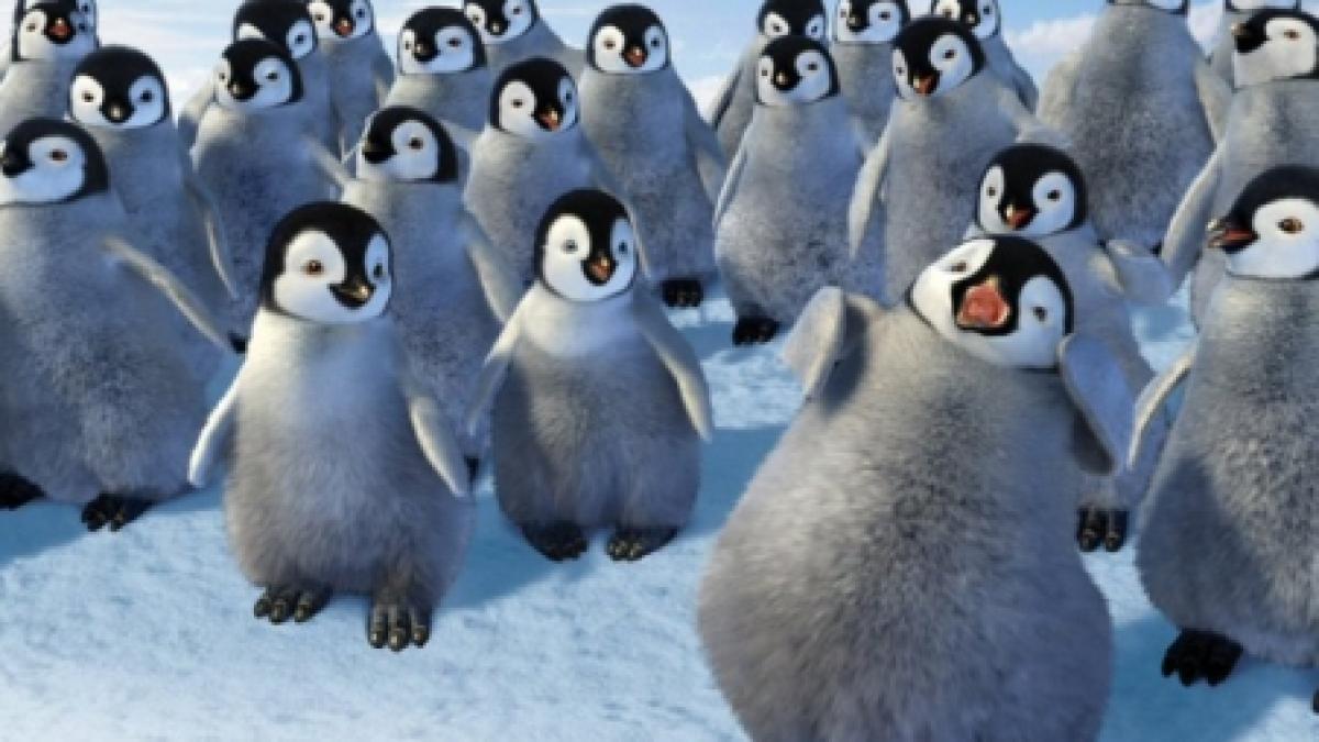 o piesa romaneasca celebra pe coloana sonora de la happy feet ce melodie a cucerit hollywoodul