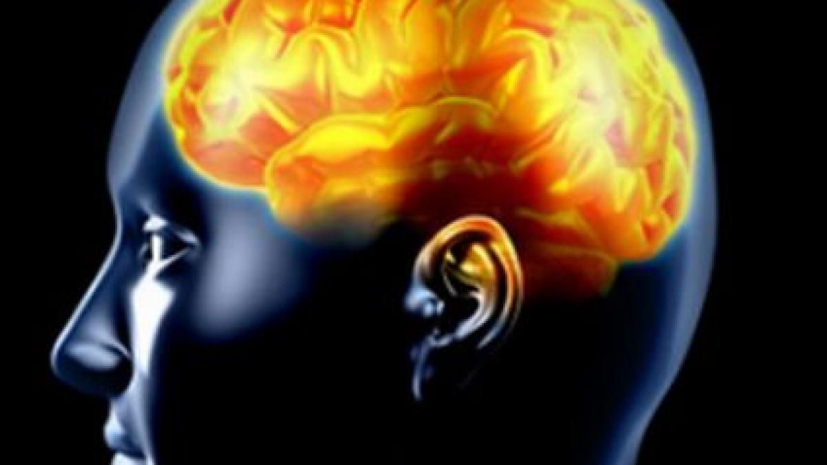 opinie manifestul republicii iq viitorul sistem politic