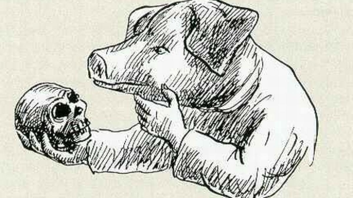 premiera in romania doua femei vor avea inimile reparate cu valve de porc