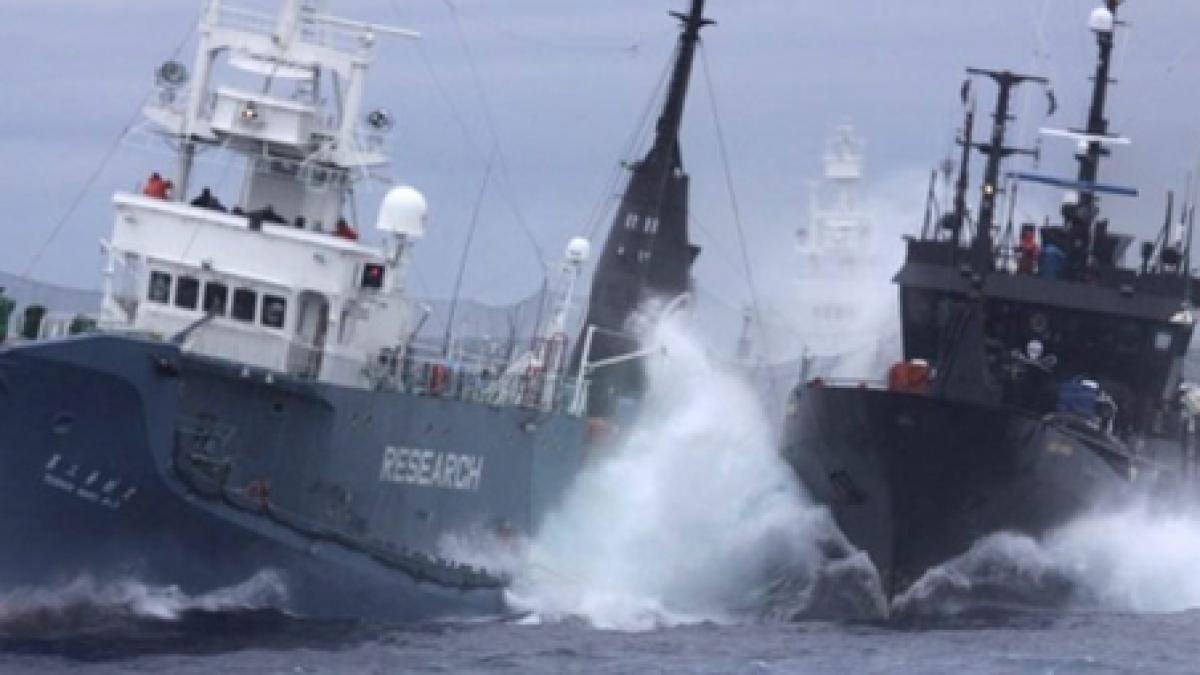 o nava plina cu 786 tone de benzina s a ciocnit cu un vas pe canalul dunare marea neagra