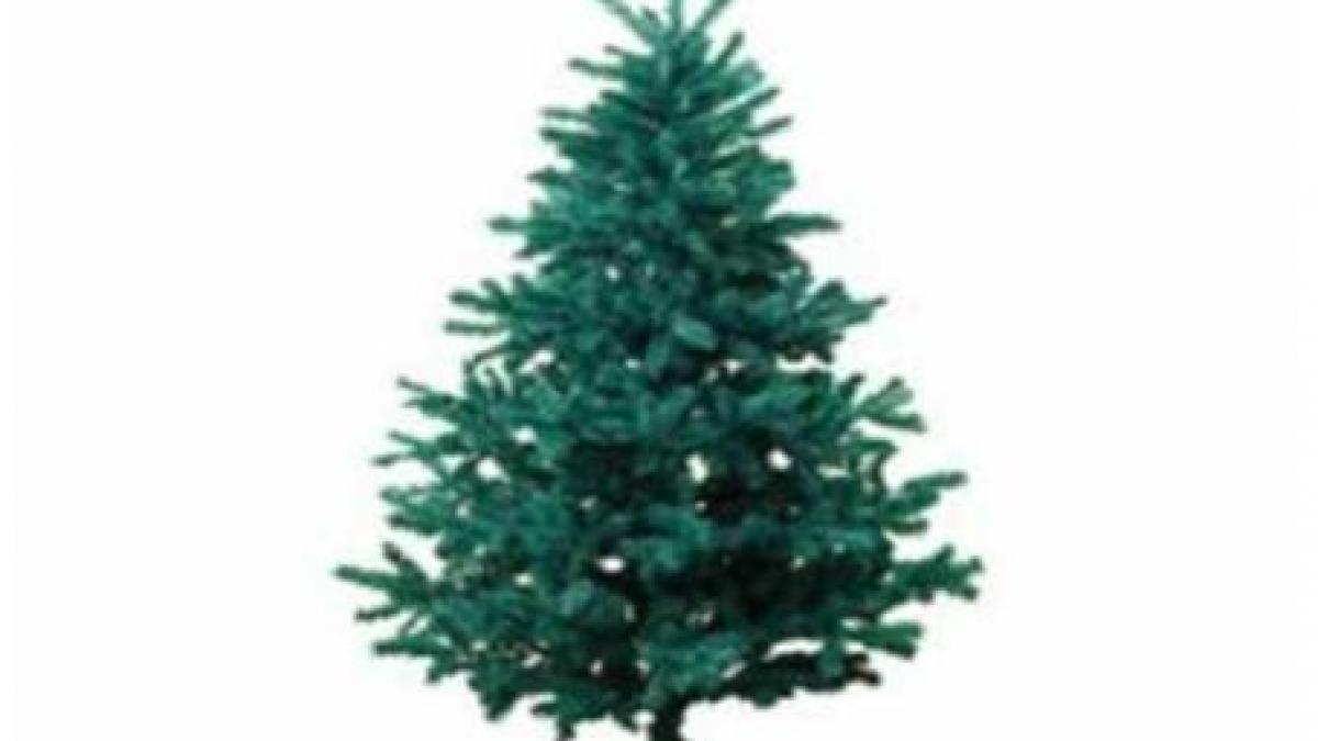 bradul artificial nu mai este prietenos cu mediul cum explica oamenii de stiinta