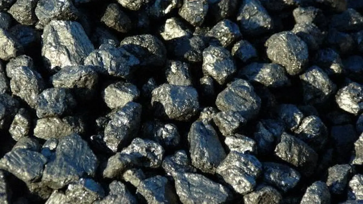 prinsi la furat carbune peste 3 tone de cocs fara acte gasite in duba a doi buzoieni
