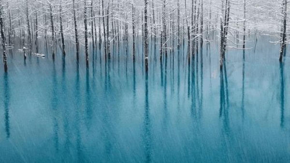 misterioasa lume pe care nu o cunosteai cele mai bune fotografii ale anului 2011