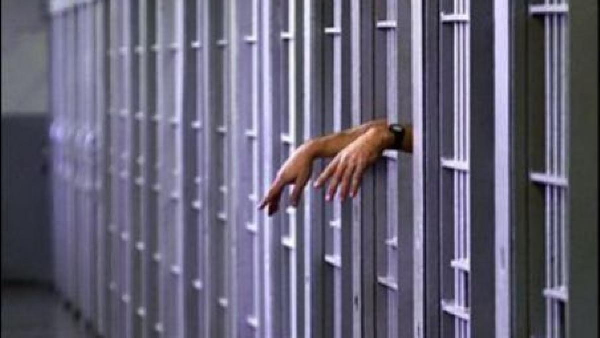 politia nu are liniste 50 de cazuri de frauda intr o saptamana