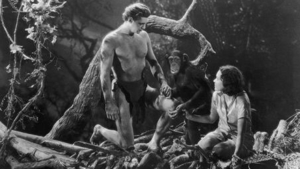 a murit cheetah cimpanzeul care a facut istorie in filmele cu tarzan avea 80 de ani