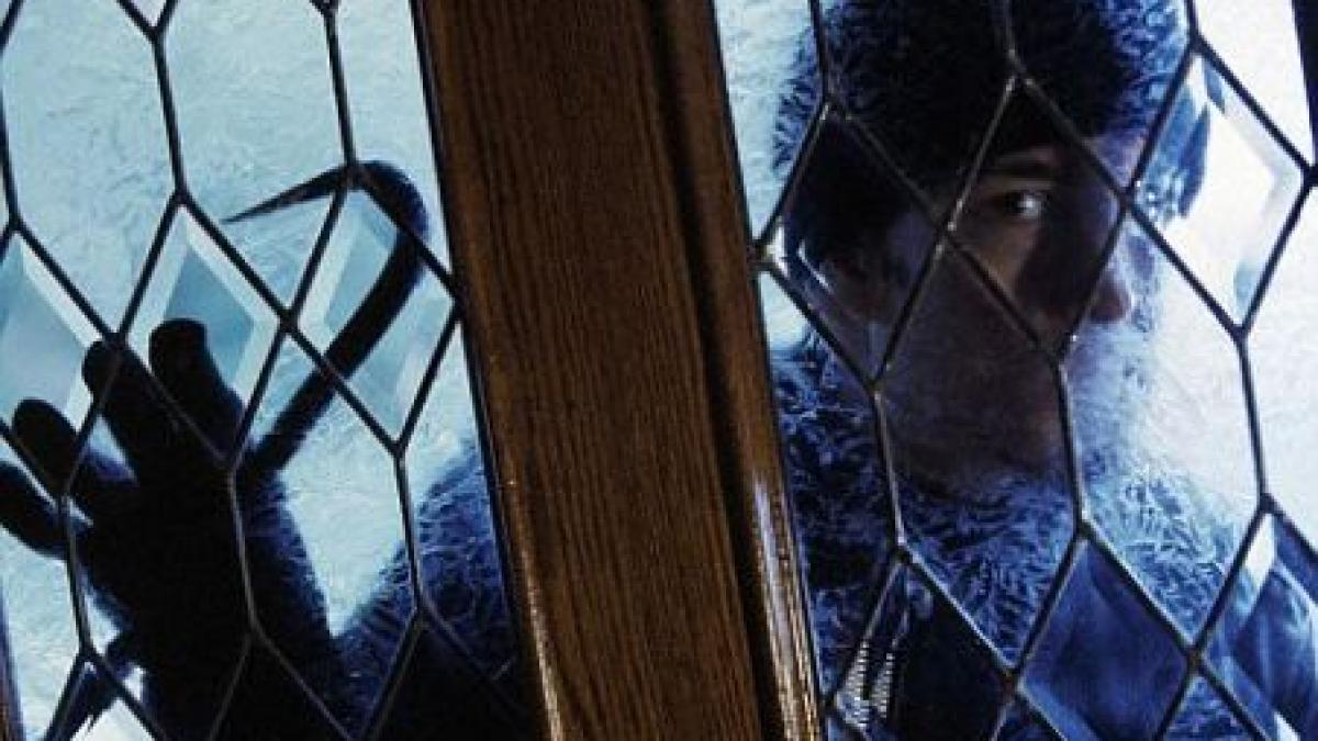 hotii au lucrat si in noaptea de revelion au furat din casa unei femei peste 56 000 lei