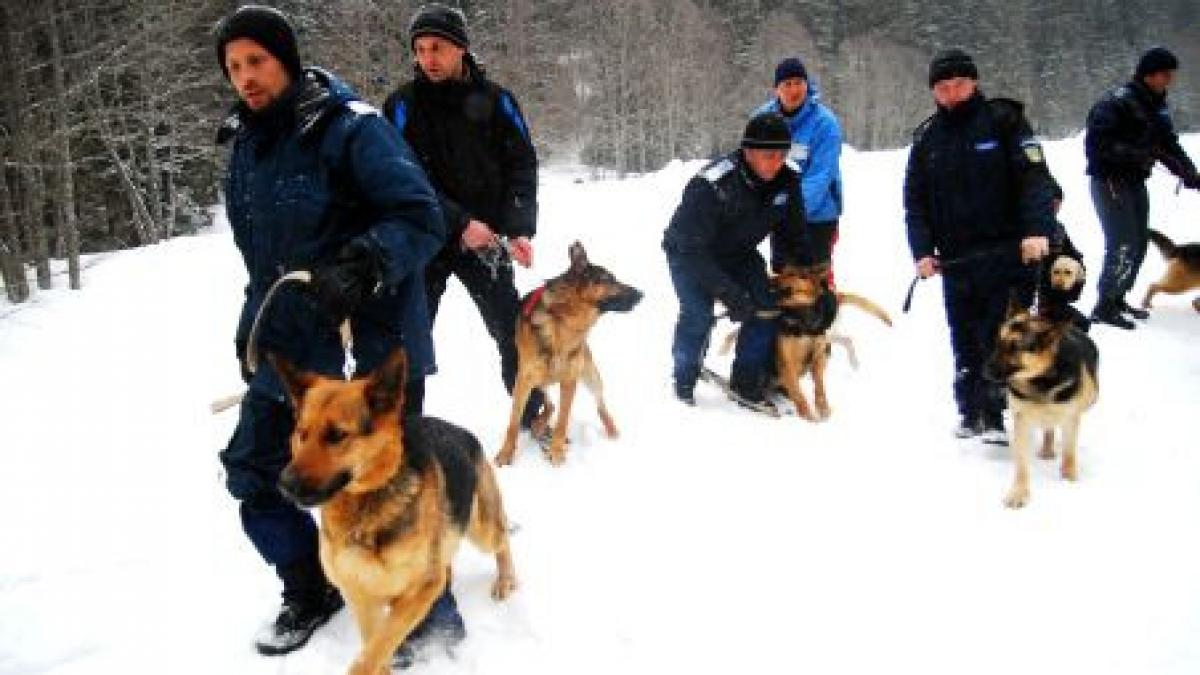 comandantul centrului de pregatire a jandarmilor montani sinaia trimis in judecata pentru coruptie