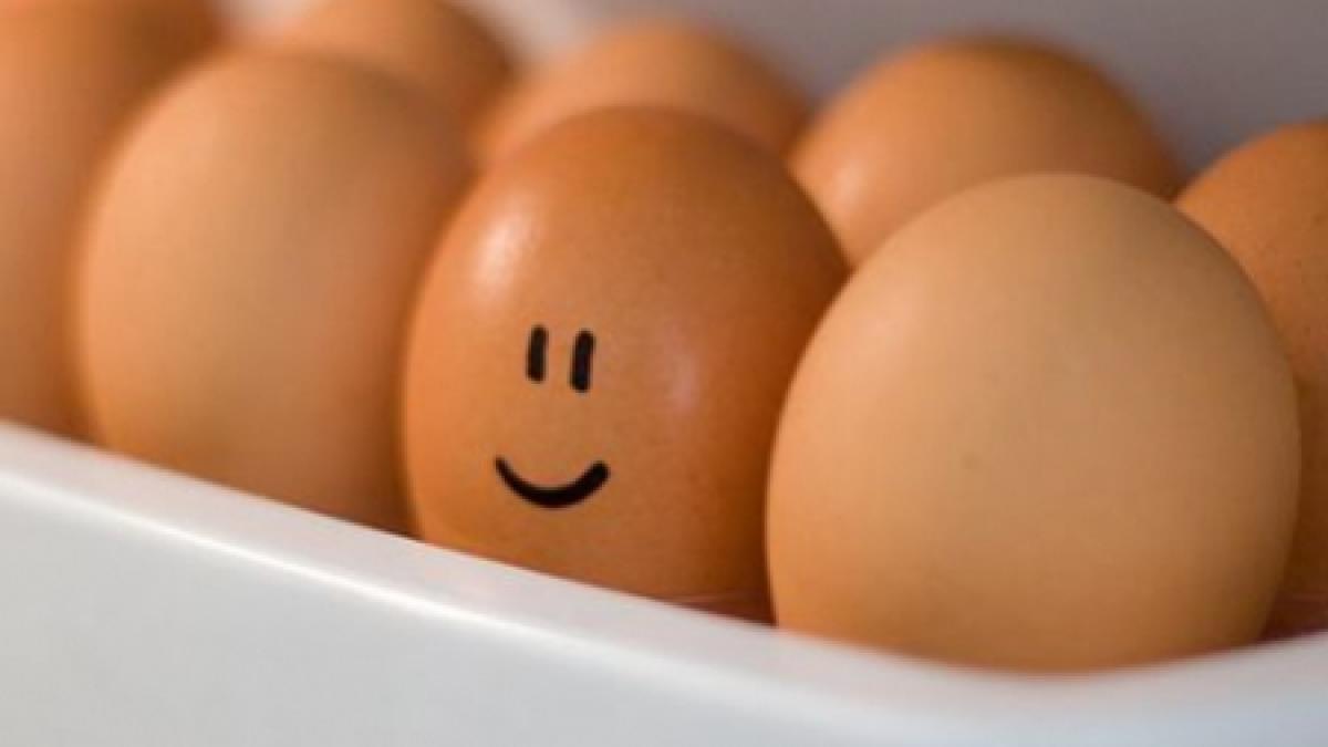 ouale provenind de la gaini stresate se vor mai putea vinde pana in iunie vezi care sunt cele mai