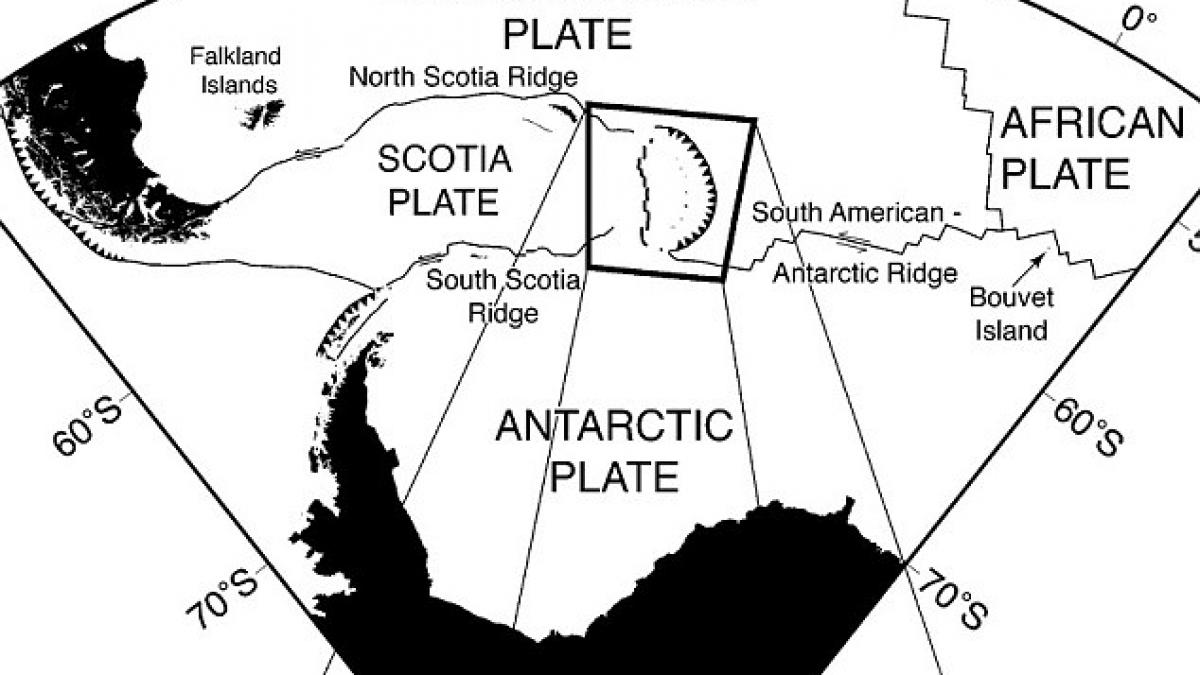 miracolul din adancuri care i a uluit pe cercetatori vezi imagini cu lumea pierduta aflata la 2 400
