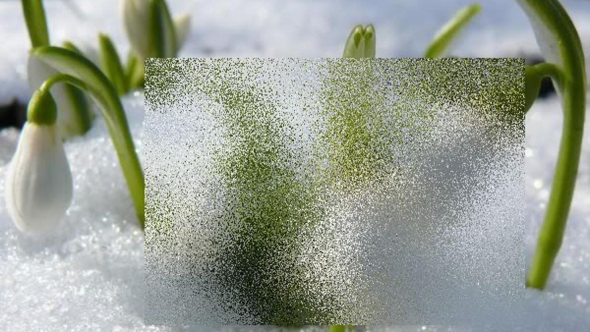 semnul care da peste cap anotimpurile oamenii uimiti de minunea oferita de natura