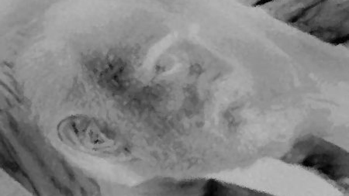 a murit sau nu vezi poza care ar putea anunta decesul unui lider mondial