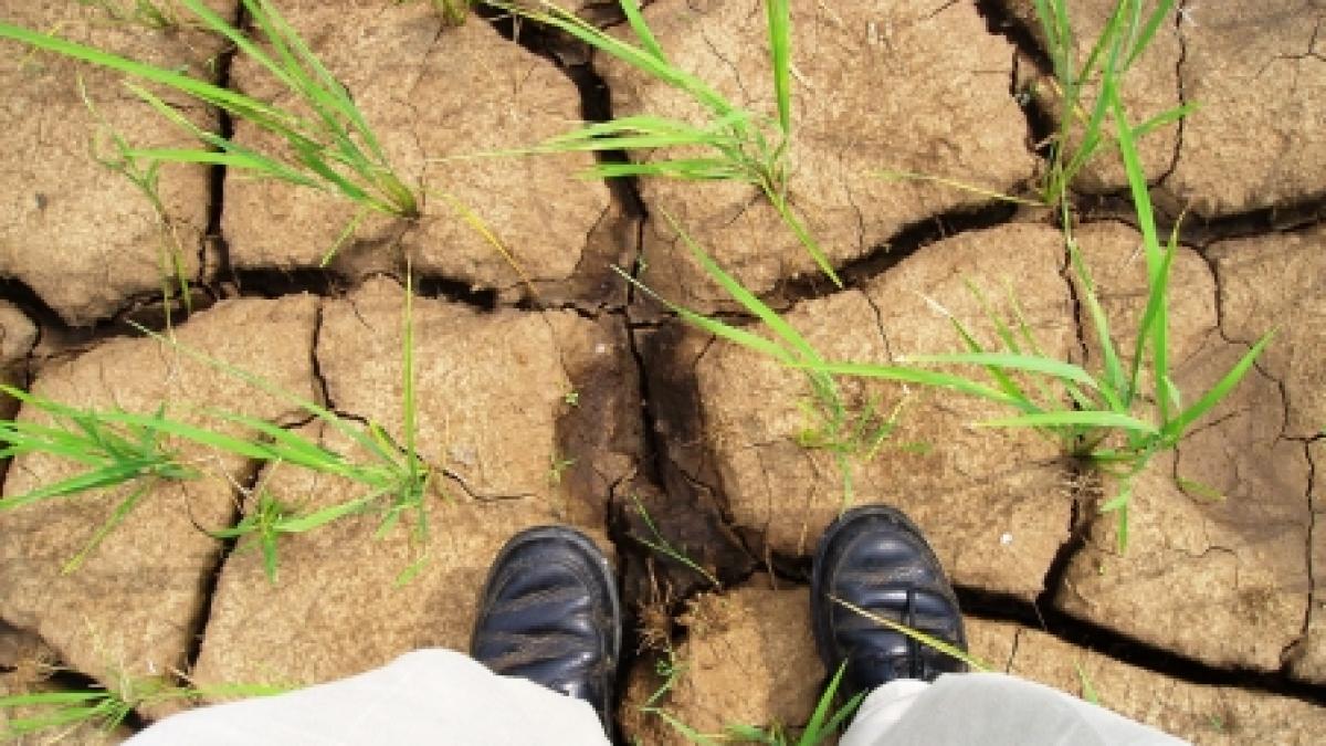 anul 2012 cel mai torid an de dupa 1850