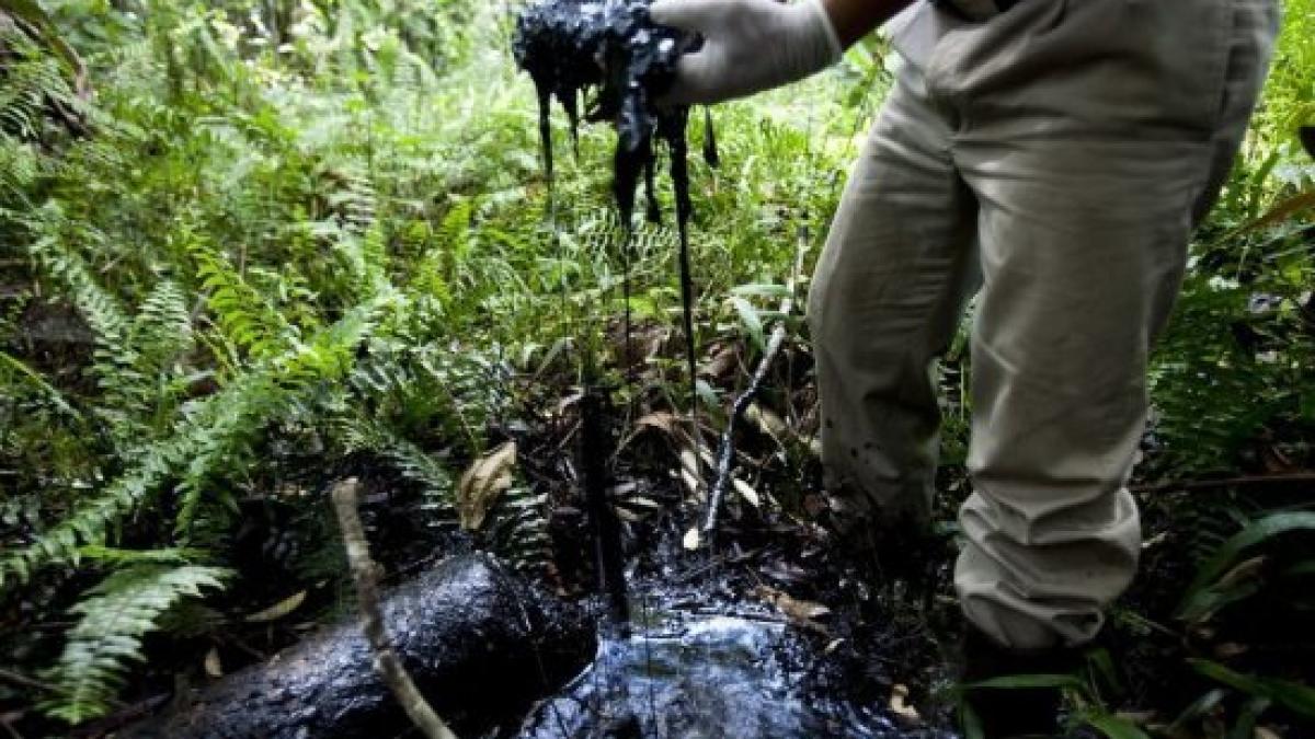 cea mai mare amenda data vreodata 10 miliarde de dolari pentru un concern petrolier vezi ce