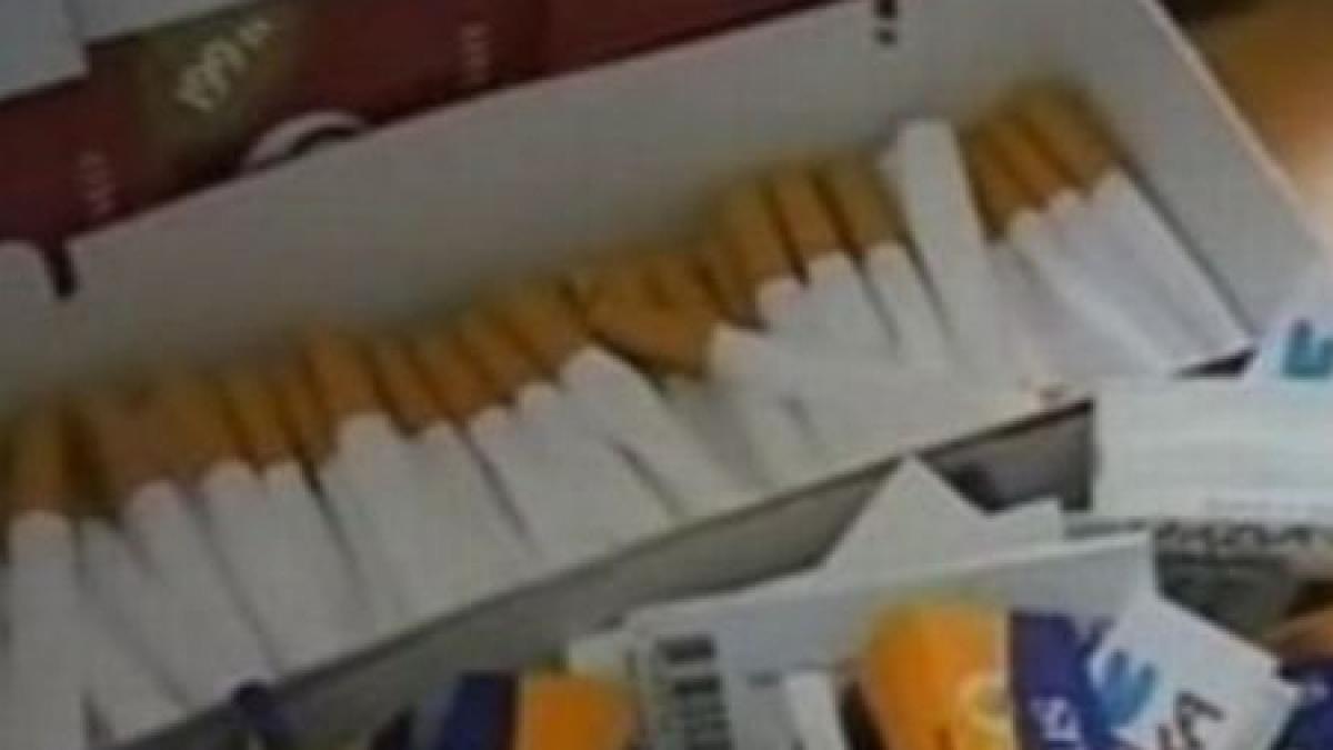 tigari de contrabanda si un intreg arsenal de arme descoperite in locuinta unei bunicute din galati