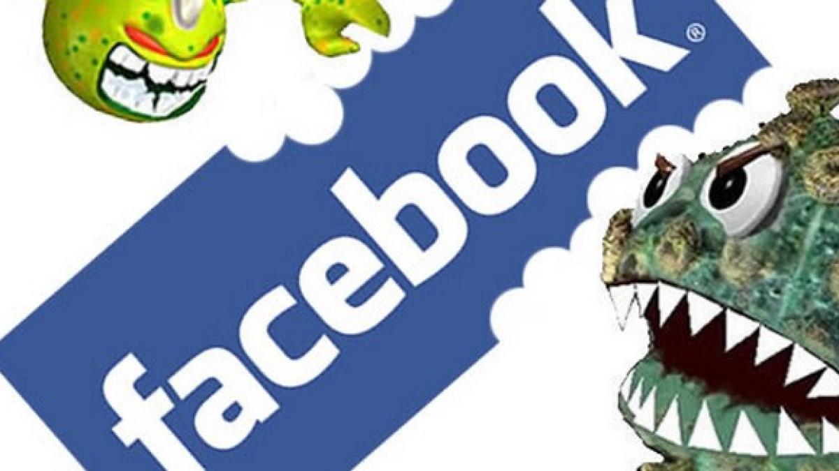 un vierme it a furat peste 45 000 de parole de conturi de facebook