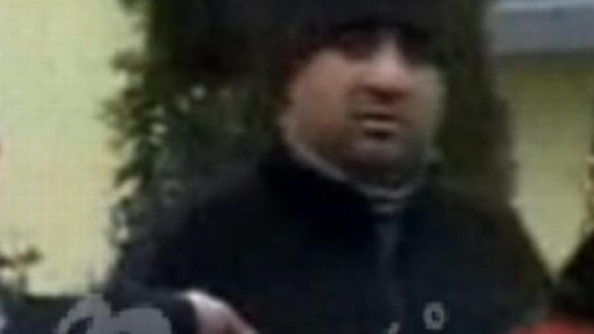 bercea mondial vedeta la inchisoare vezi cum se plimba printre ceilalti puscariasi