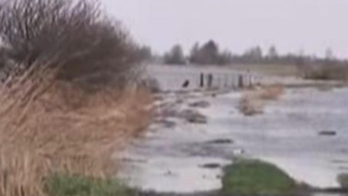 vremea rea face ravagii in vestul europei cehia marea britanie si olanda in stare de alerta