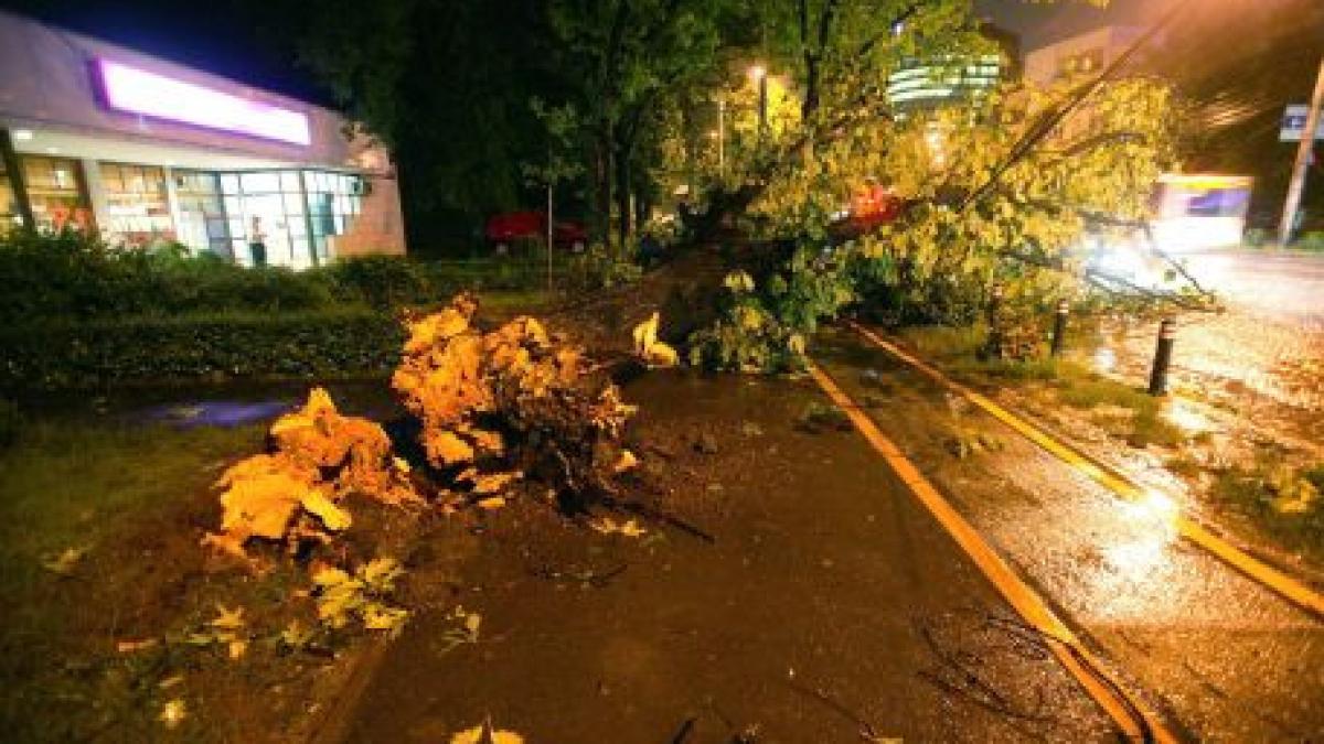 cod galben de vreme rea in toata tara capitala afectata de vantul puternic