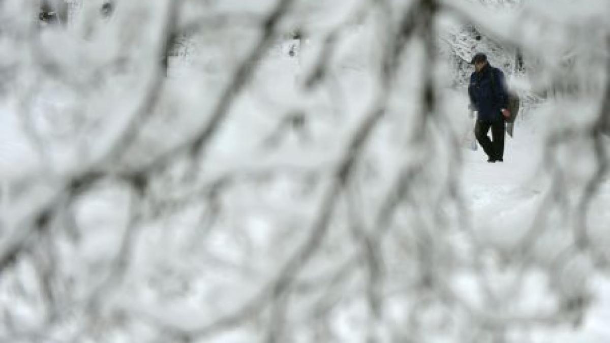 bulgaria doi oameni au murit si sute de mii au ramas fara curent in urma furtunilor de zapada