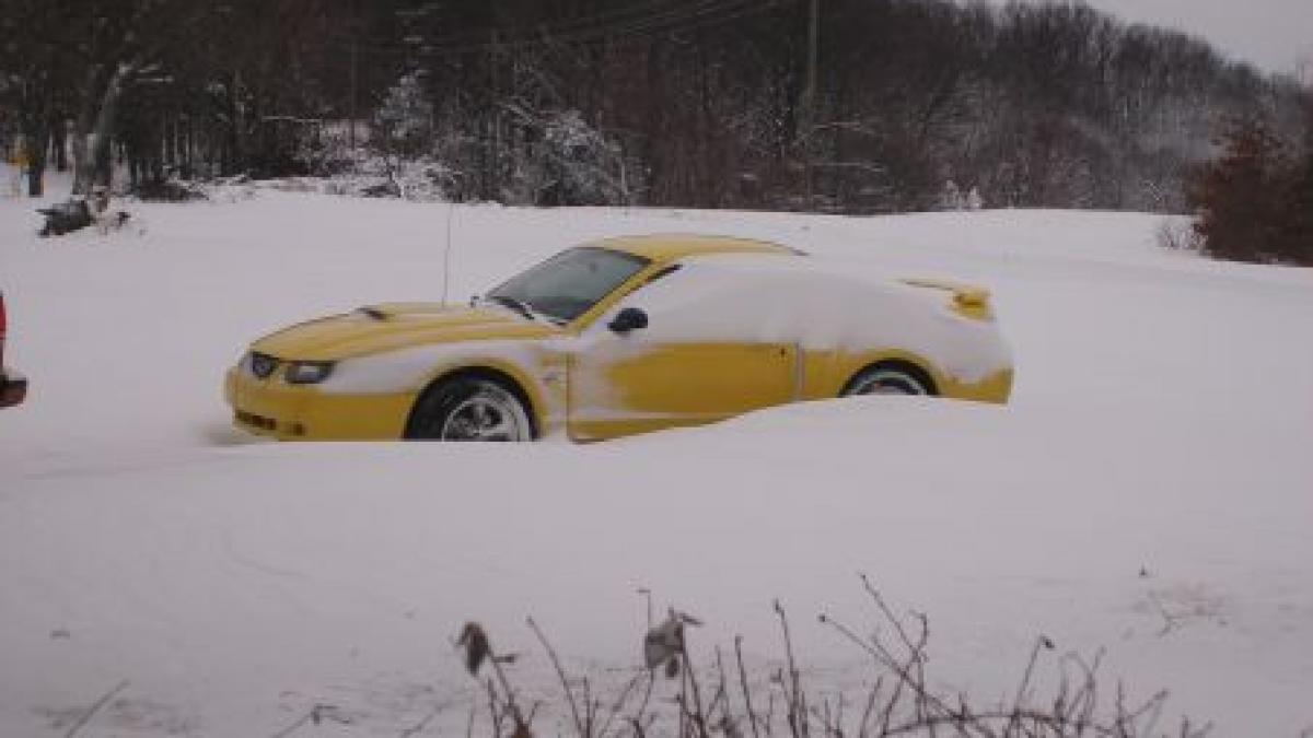 nametii au pus stapanire pe austria franta germania si bulgaria