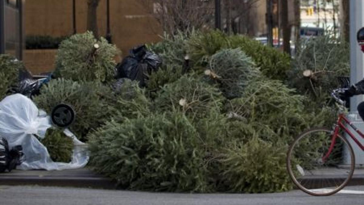 ce se intampla cu brazii dupa craciun vezi ce planuri au autoritatile
