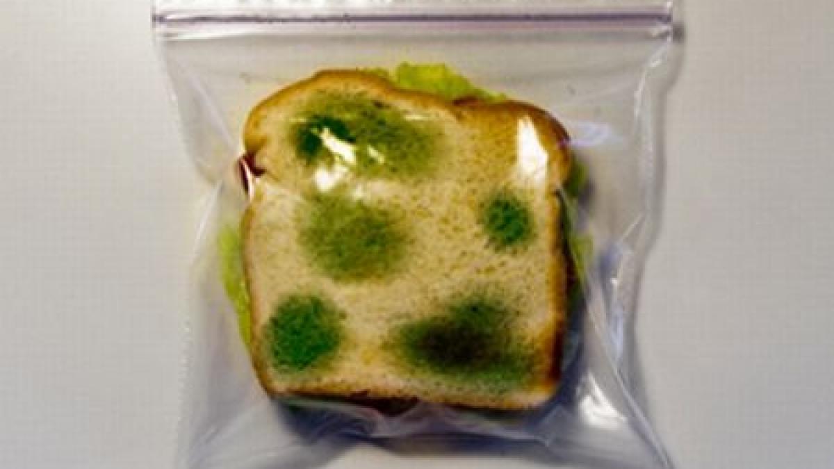 sanvis cu mucegai delicatesa vanduta de un magazin din constanta o femeie s a imbolnavit