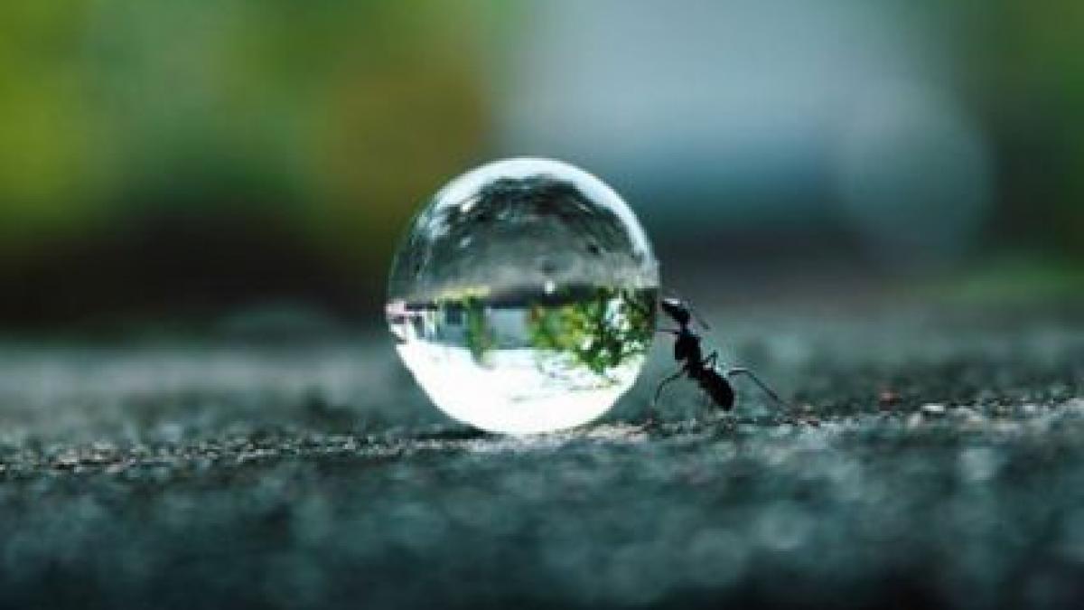 romanii cei mai harnici din ue vezi cate ore munceste anual un roman