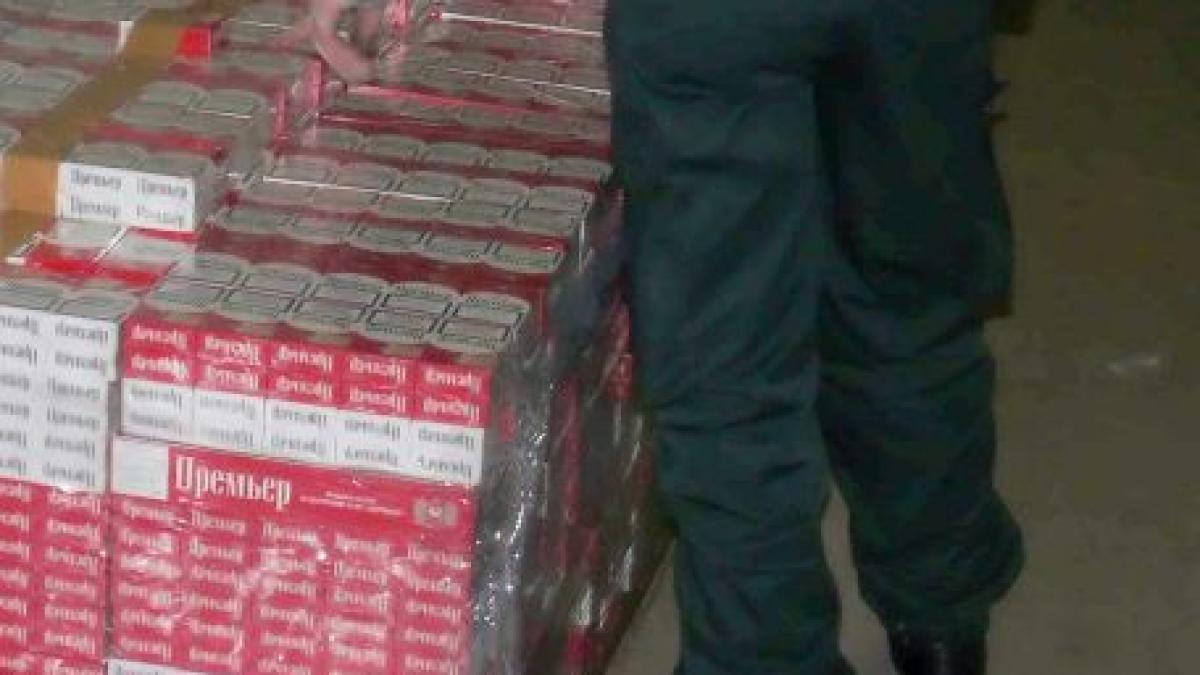 captura impresionanta de tigari la granita cu ucraina