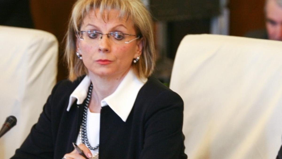 ani fostul secretar general al guvernului daniela andreescu in conflict de interese