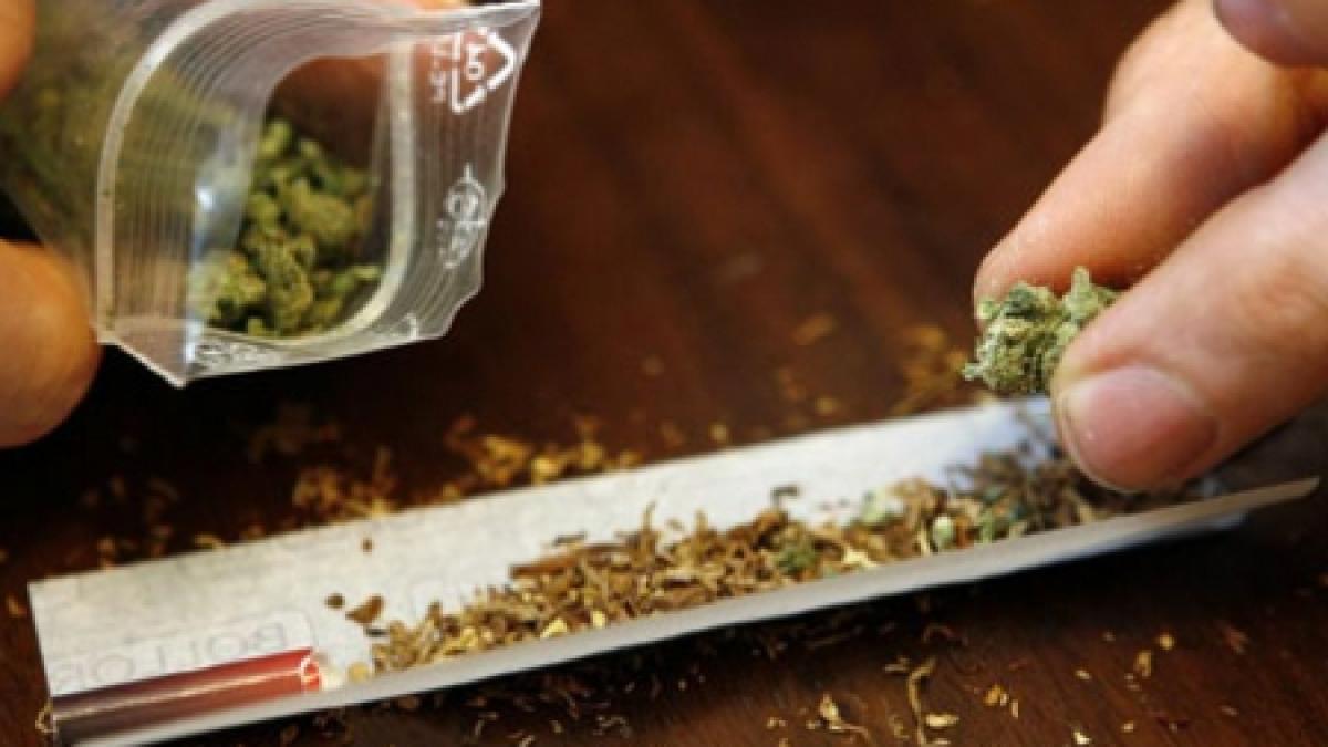 fiul sefului avas condamnat la 3 ani si 6 luni de inchisoare pentru consum de droguri