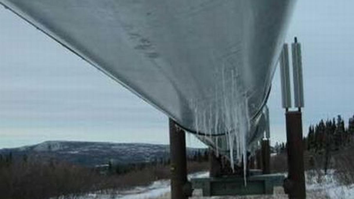 noua persoane prinse in flagrant cand incercau sa fure o conducta magistrala de petrol