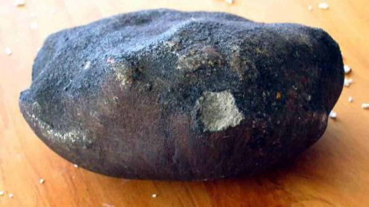 un meteorit de 7 kg descoperit in maroc provine de pe marte