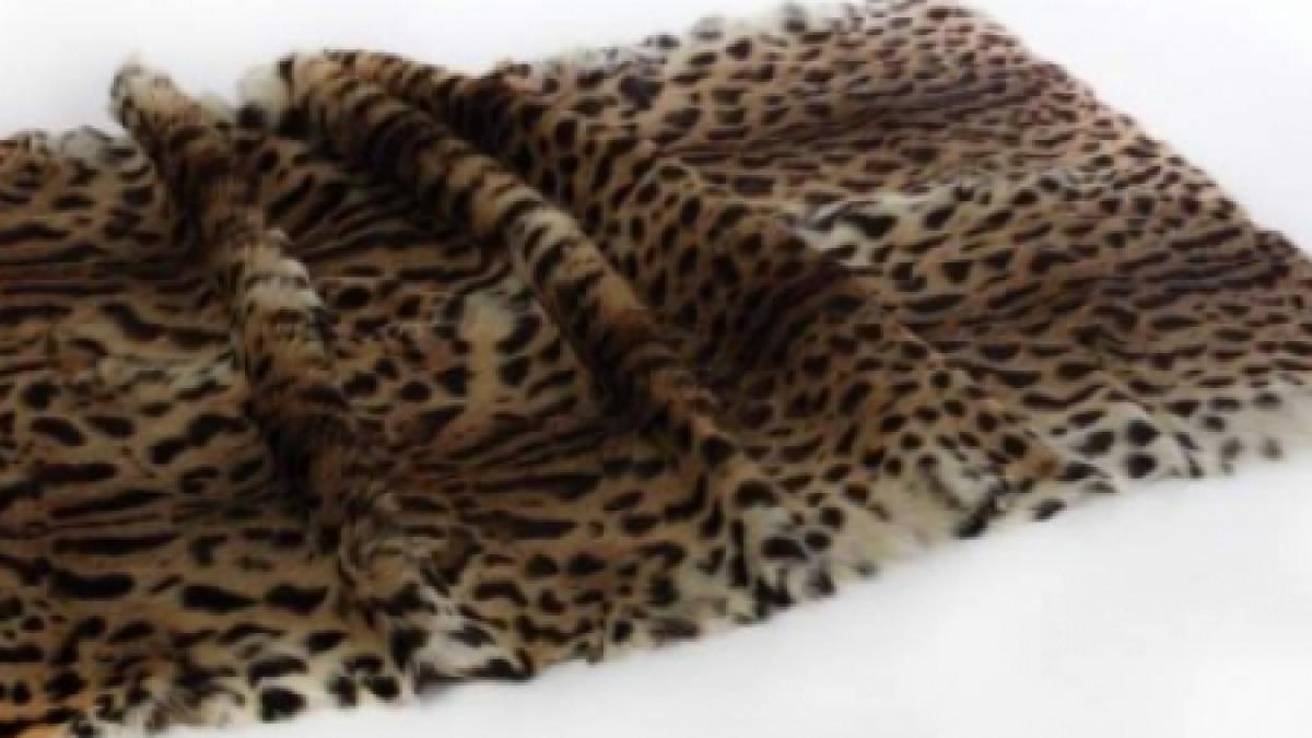 cel mai scump obiect de la licitatia ceausestilor are pretul de pornire de 3 800 euro