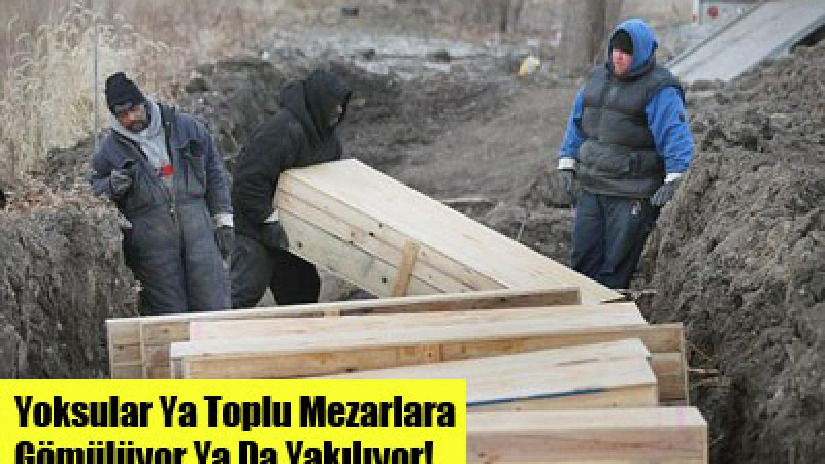 imaginea care arata esecul americanilor vezi detaliul morbid ascuns in cutiile de lemn