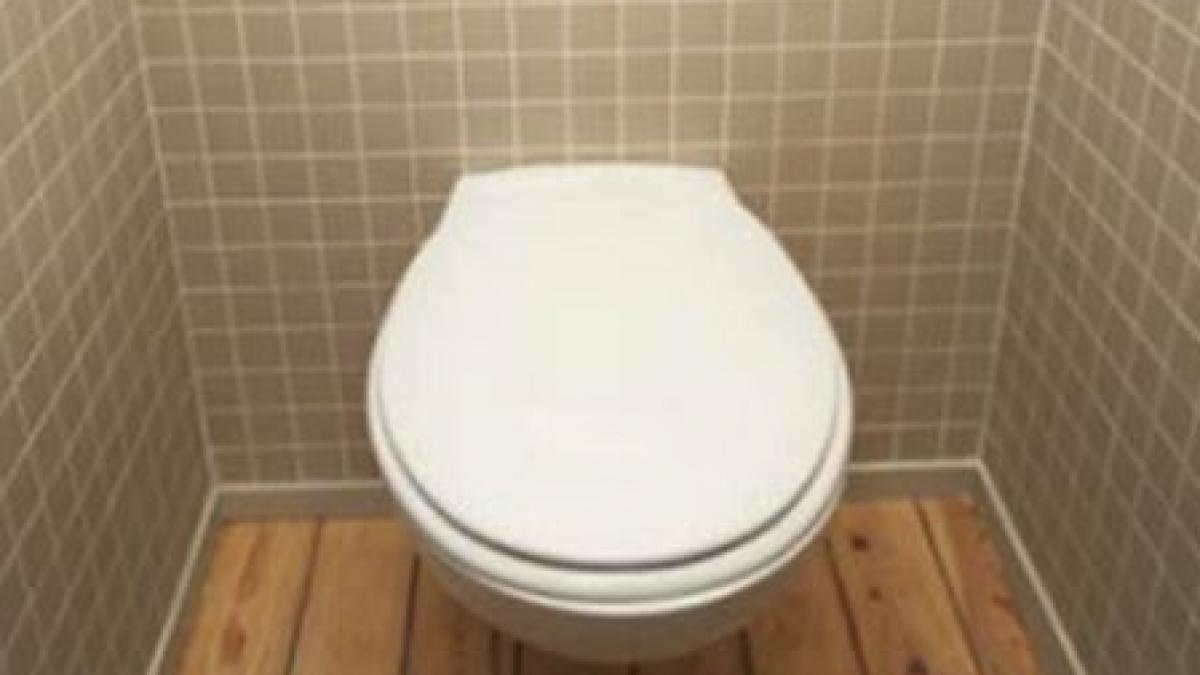 cea mai scumpa toaleta din tara la valenii de munte motiv de fala sau bani pe apa sambetei