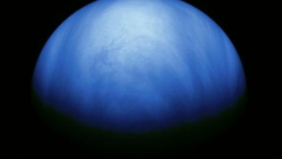 exista viata pe planeta venus descoperirea pe care a facut o un savant rus